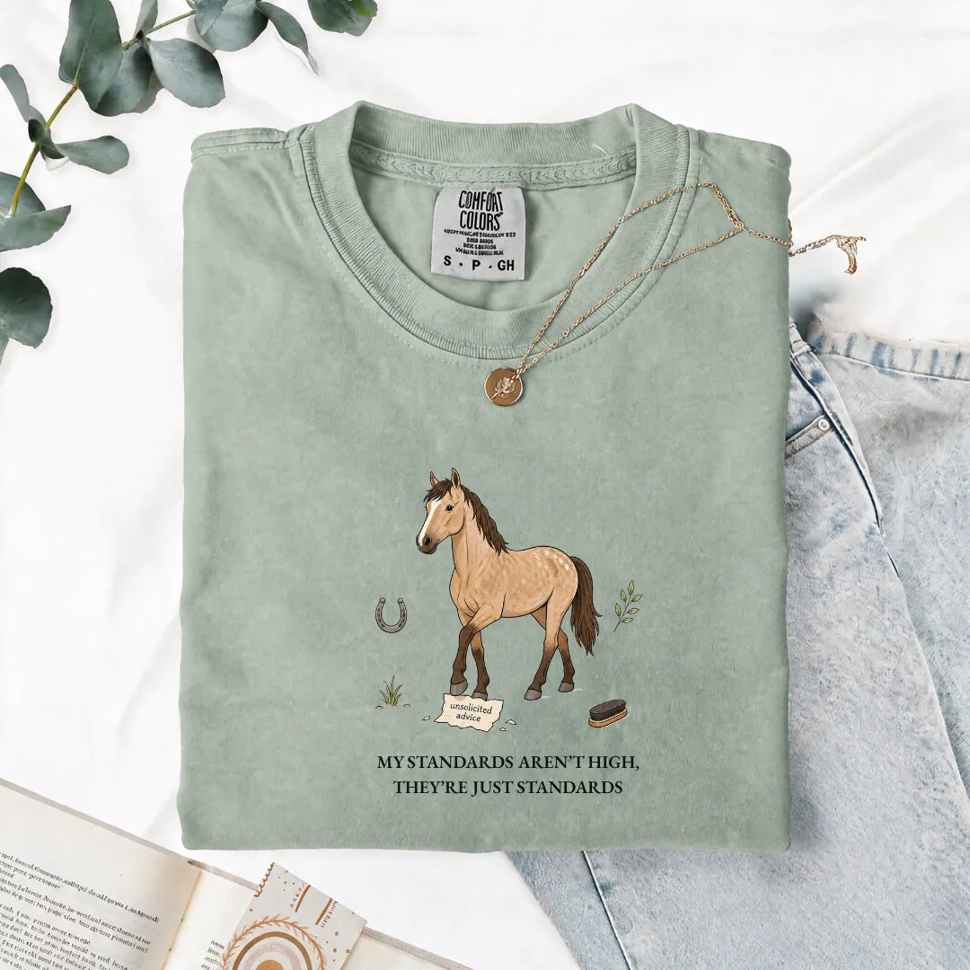 My Standards Aren't High, They're Just Standards - Comfort Tee
