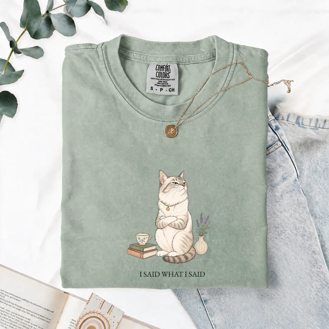 I Said What I Said - Comfort Tee