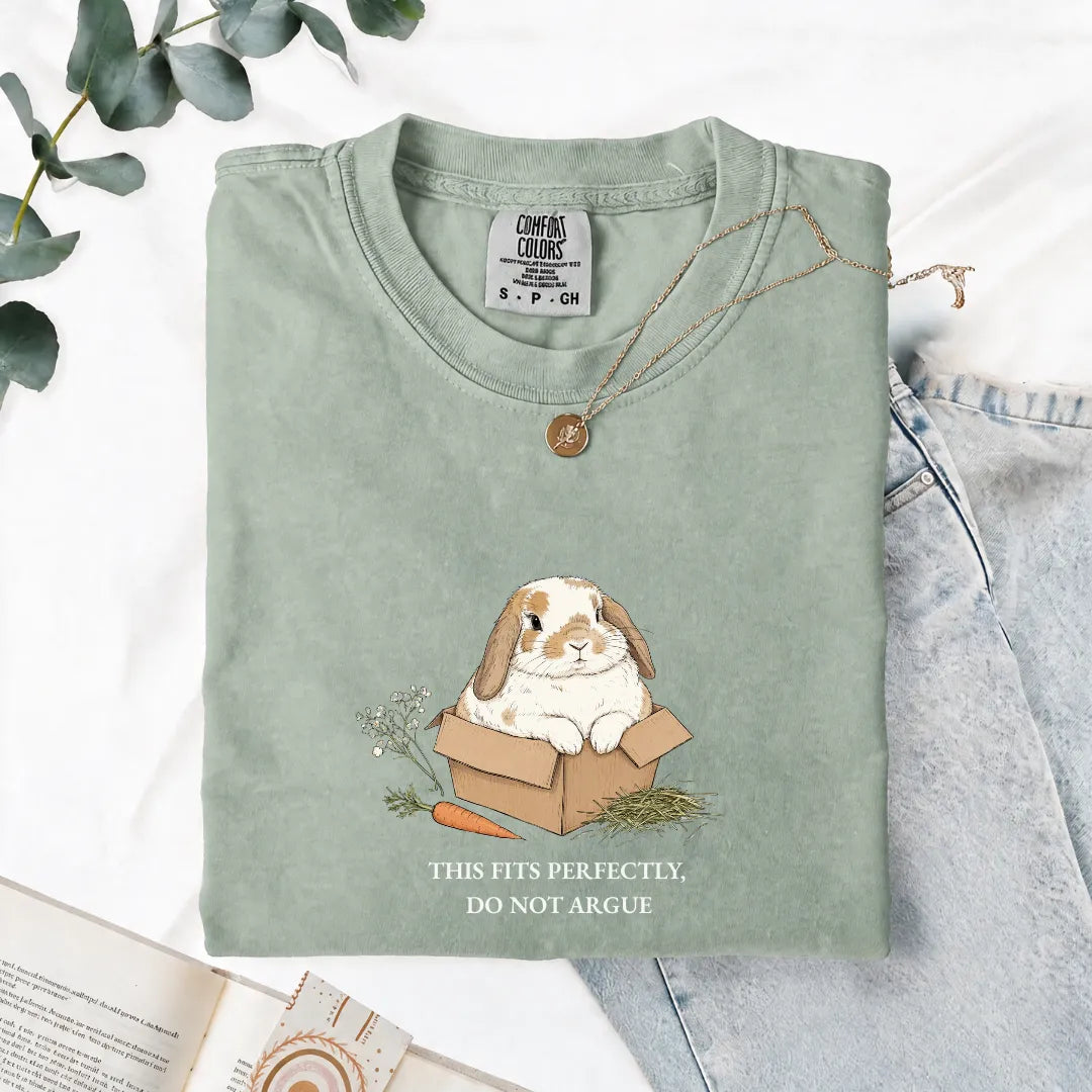 This Fits Perfectly, Do Not Argue - Comfort Tee
