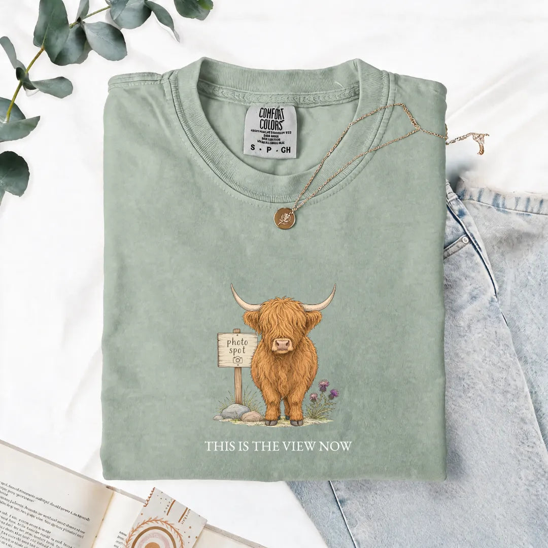 This Is The View Now - Comfort Tee