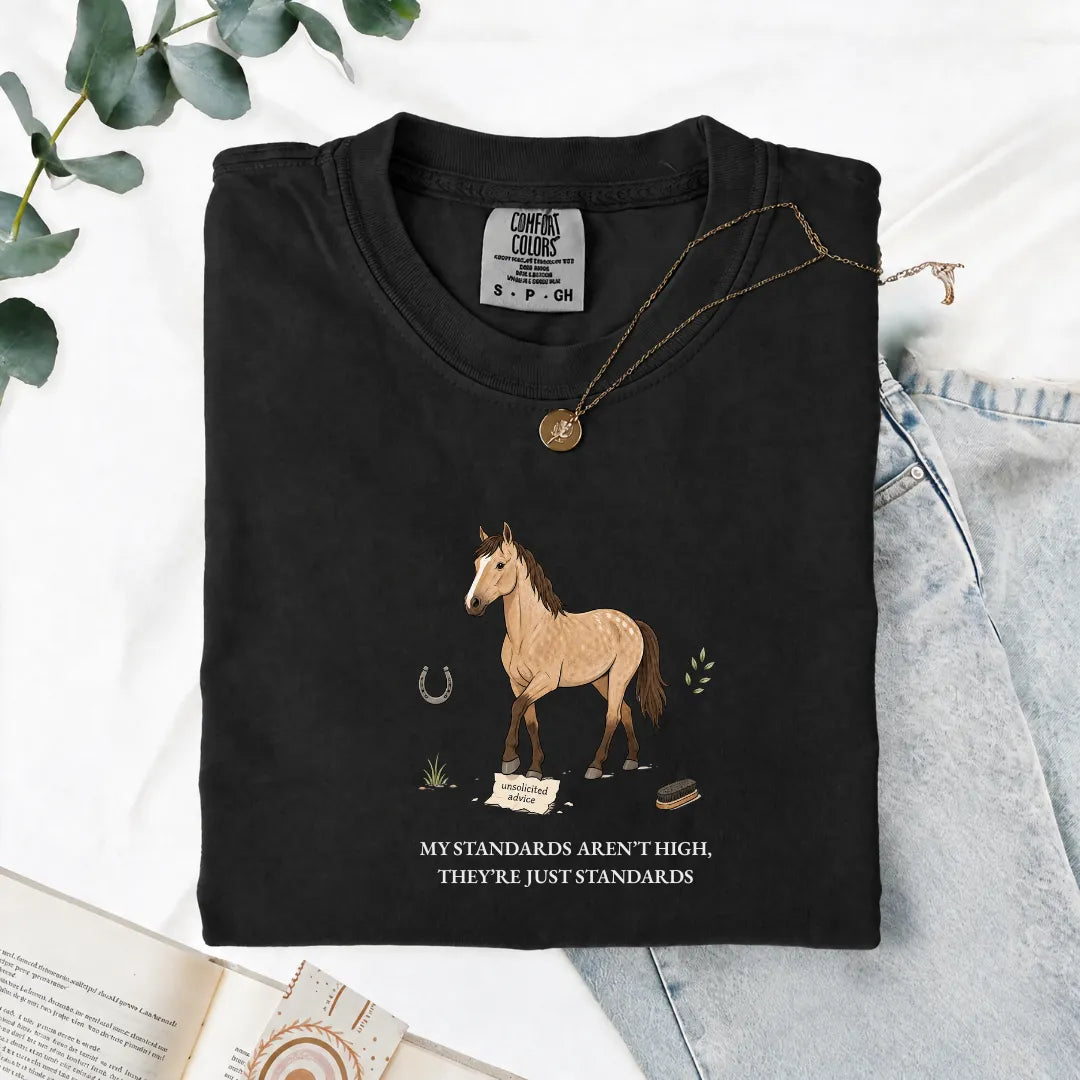 My Standards Aren't High, They're Just Standards - Comfort Tee