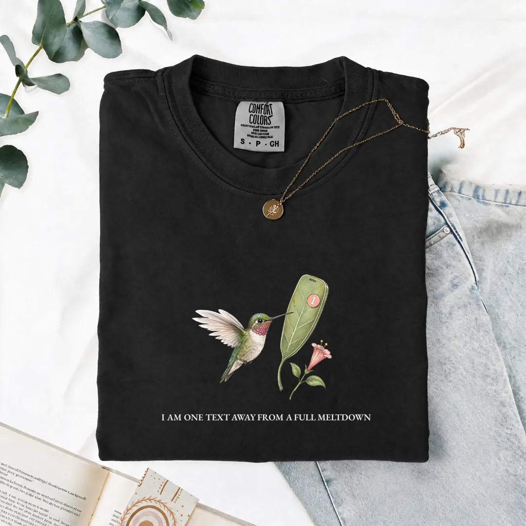 I Am One Text Away From A Full Meltdown - Comfort Tee