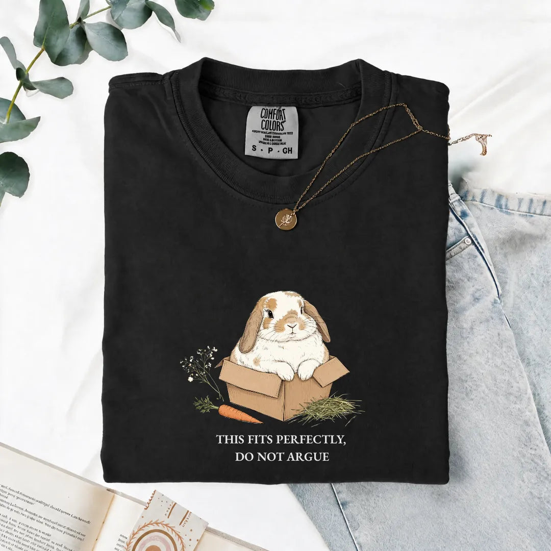 This Fits Perfectly, Do Not Argue - Comfort Tee