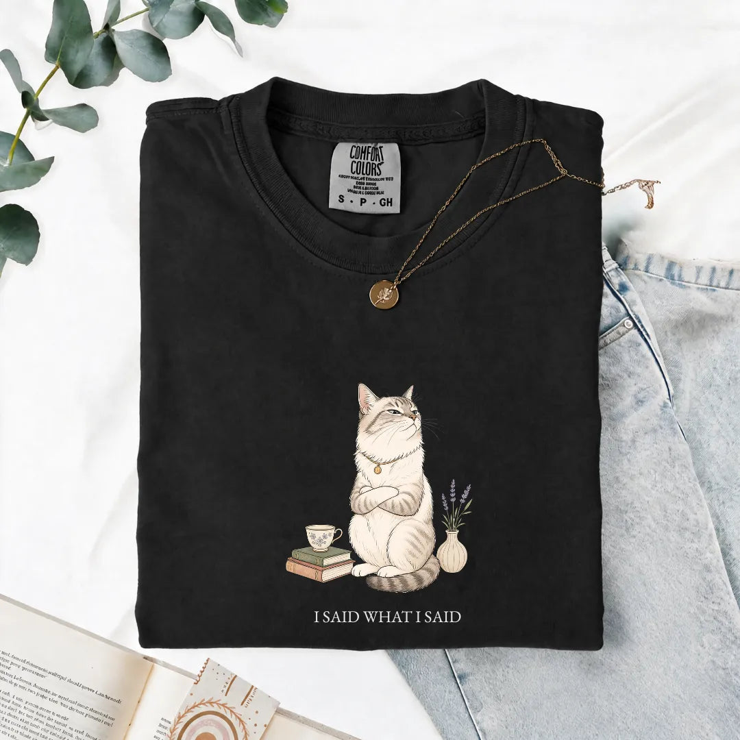 I Said What I Said - Comfort Tee