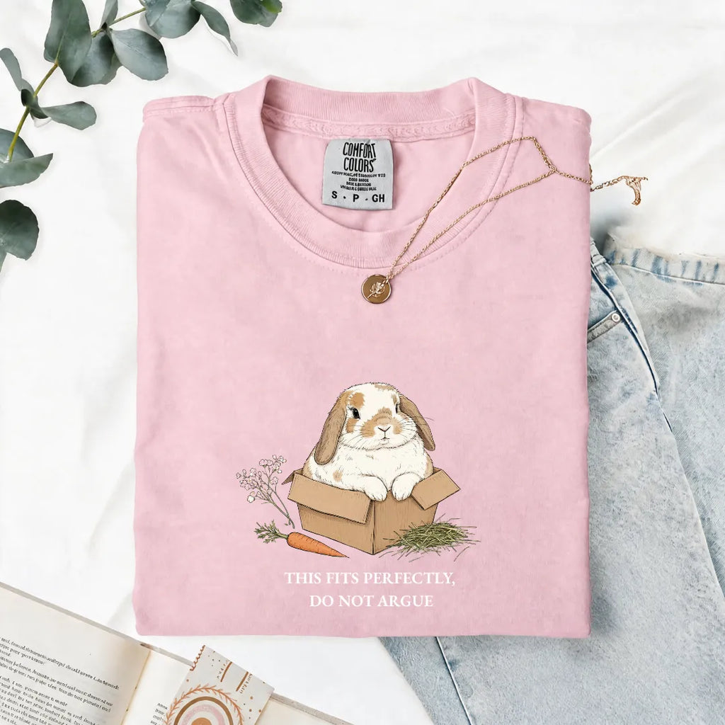 This Fits Perfectly, Do Not Argue - Comfort Tee