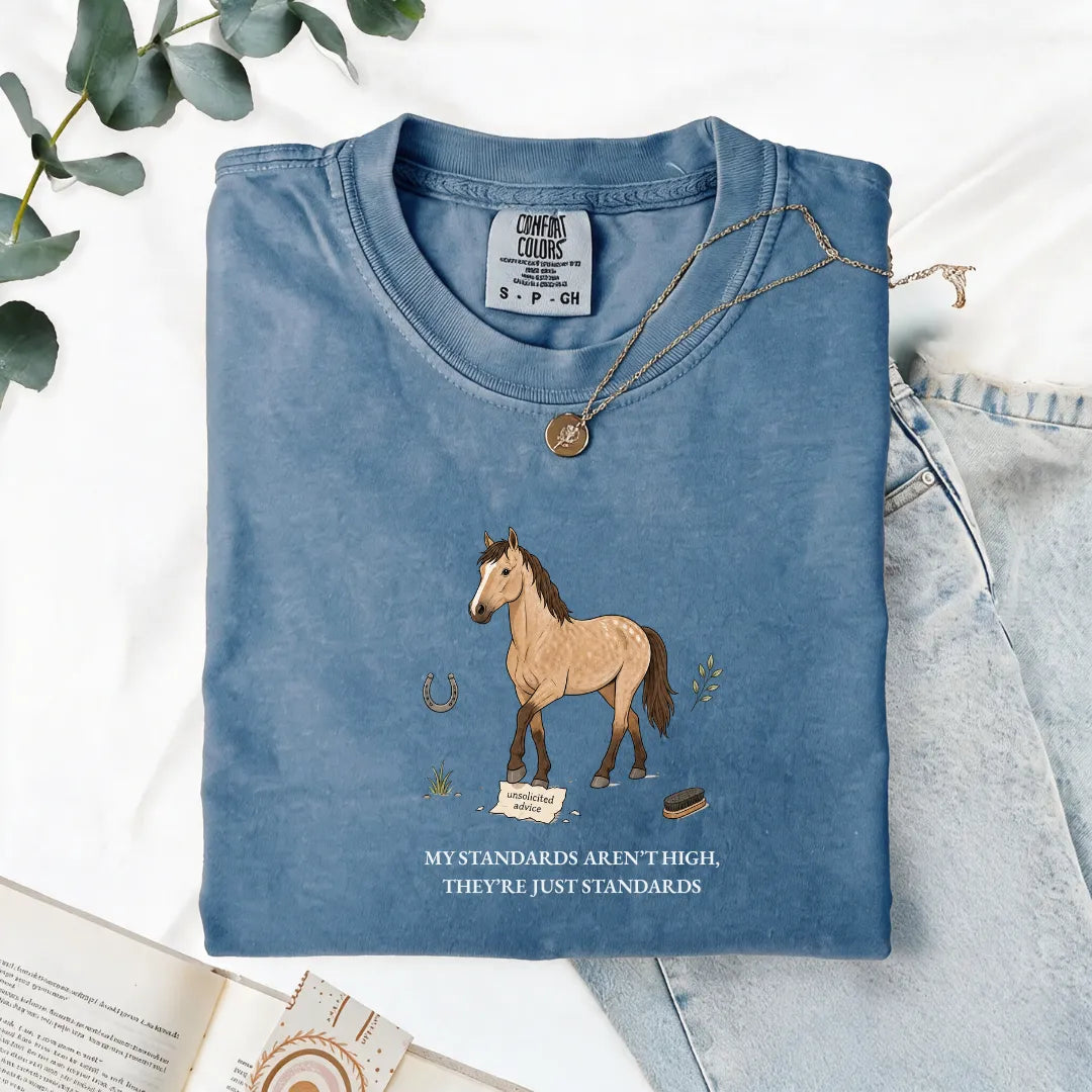My Standards Aren't High, They're Just Standards - Comfort Tee