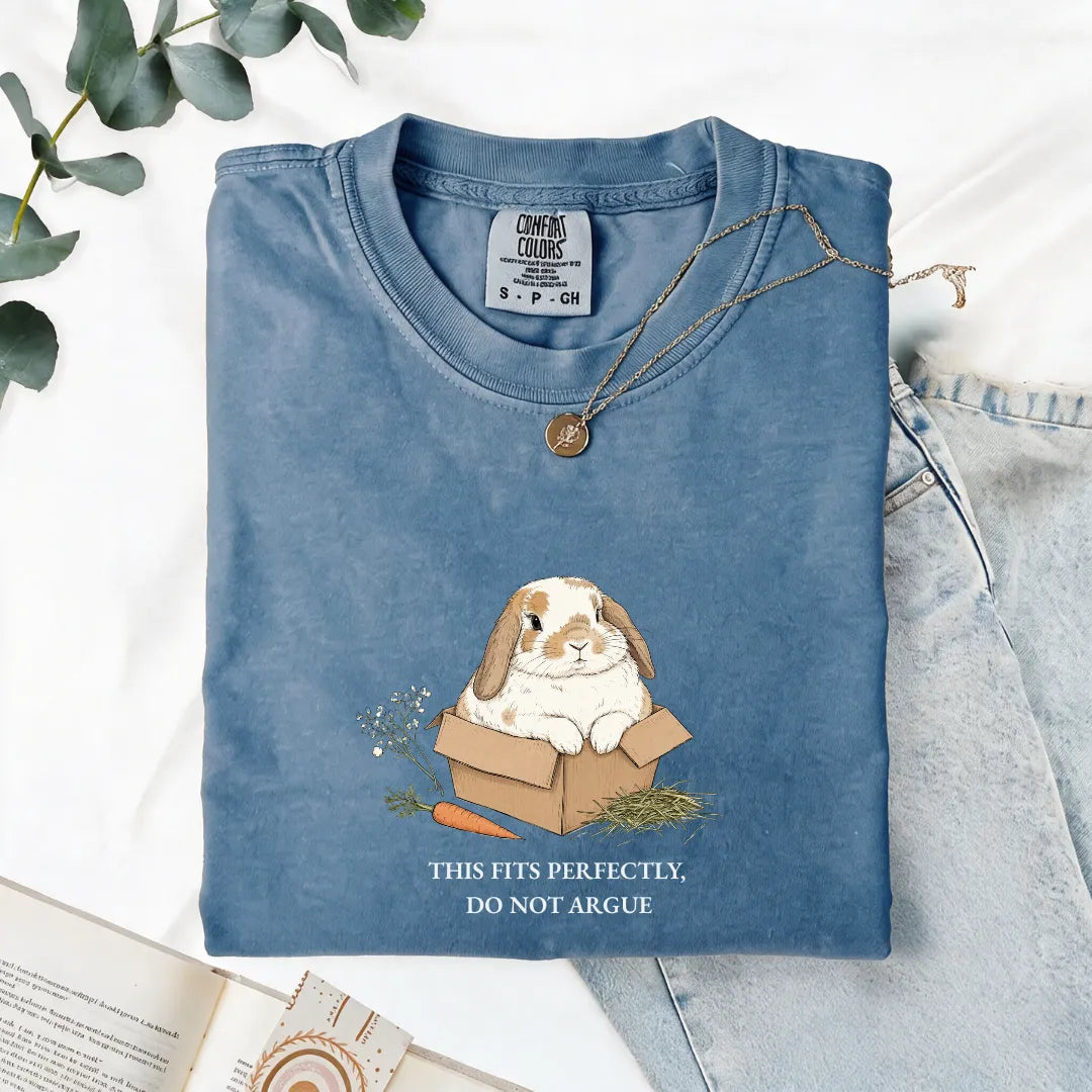 This Fits Perfectly, Do Not Argue - Comfort Tee