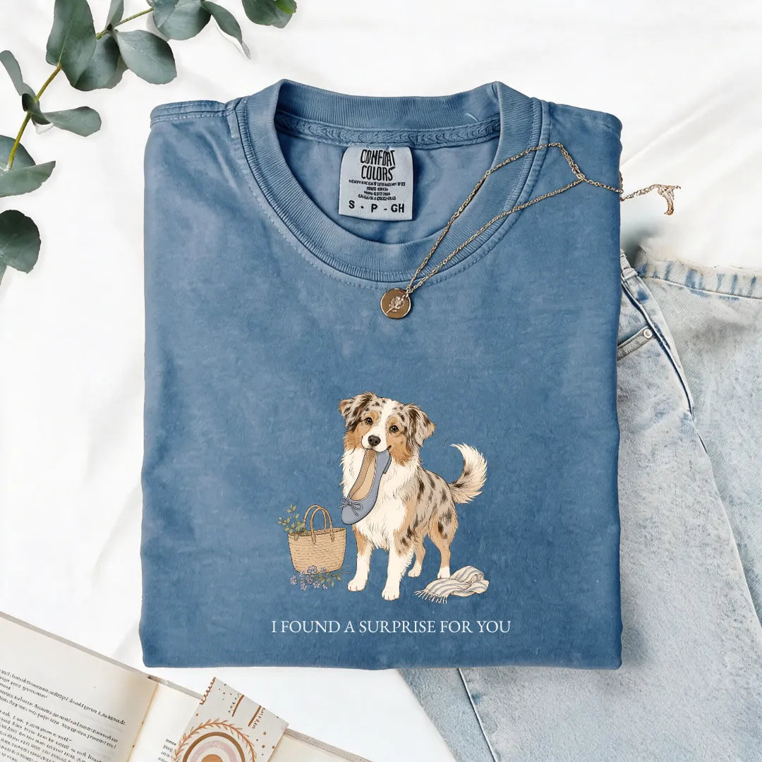 I Found A Surprise For You - Comfort Tee