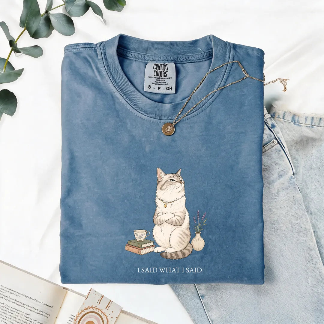 I Said What I Said - Comfort Tee