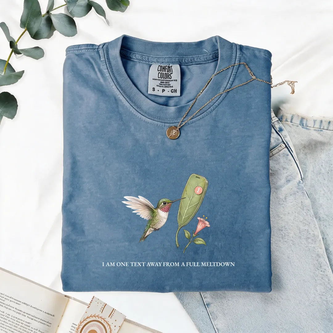 I Am One Text Away From A Full Meltdown - Comfort Tee