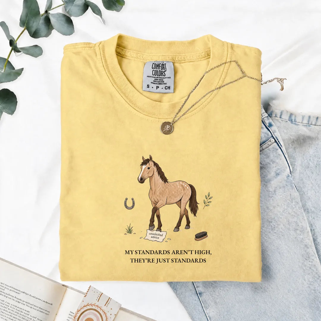 My Standards Aren't High, They're Just Standards - Comfort Tee