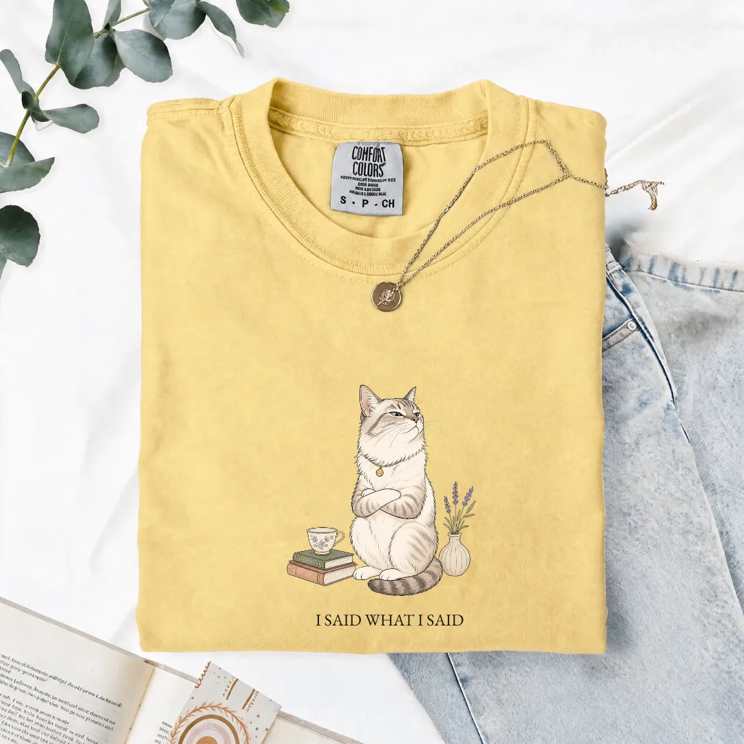 I Said What I Said - Comfort Tee