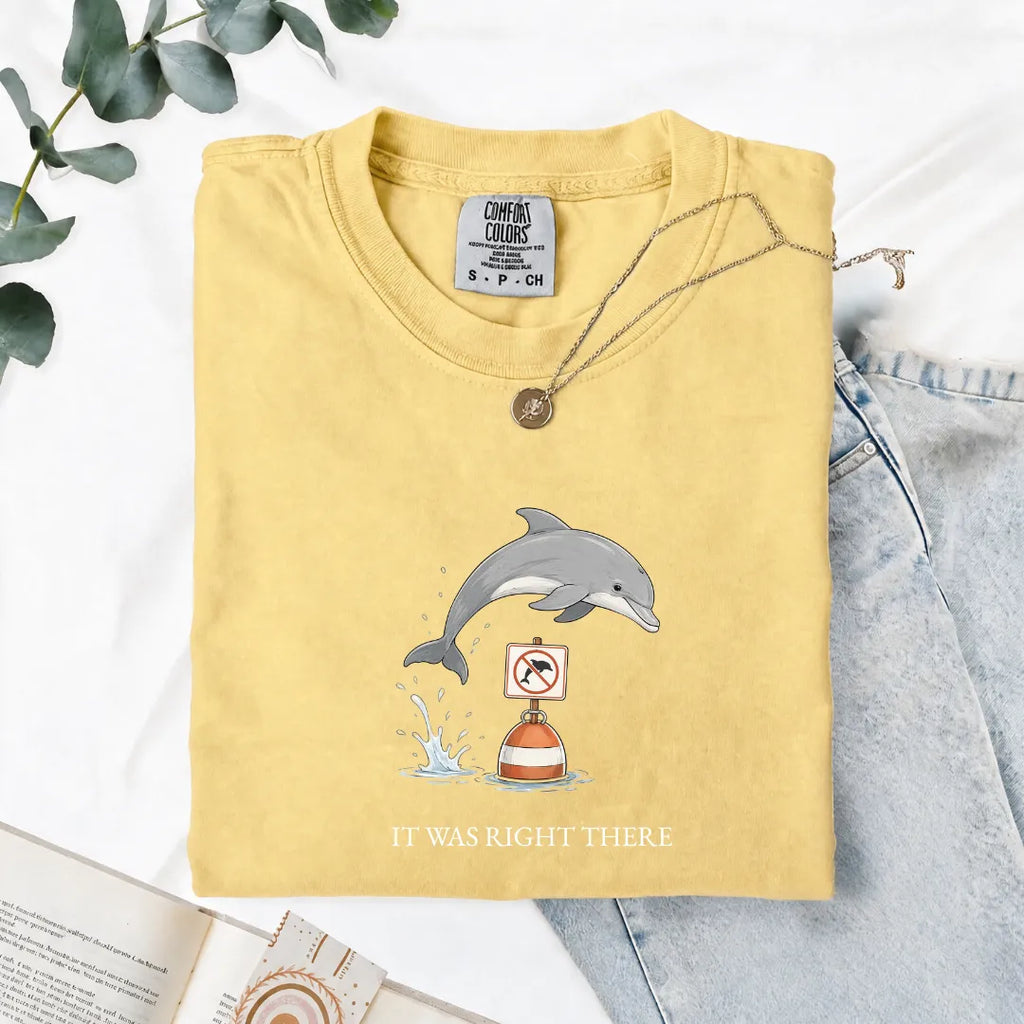 It Was Right There - Comfort Tee