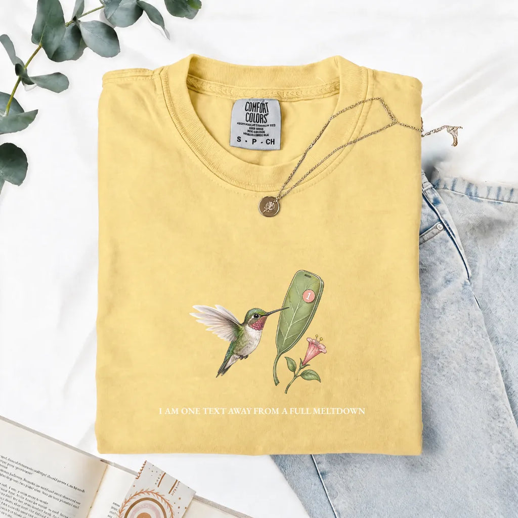 I Am One Text Away From A Full Meltdown - Comfort Tee
