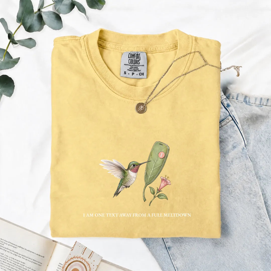 I Am One Text Away From A Full Meltdown - Comfort Tee