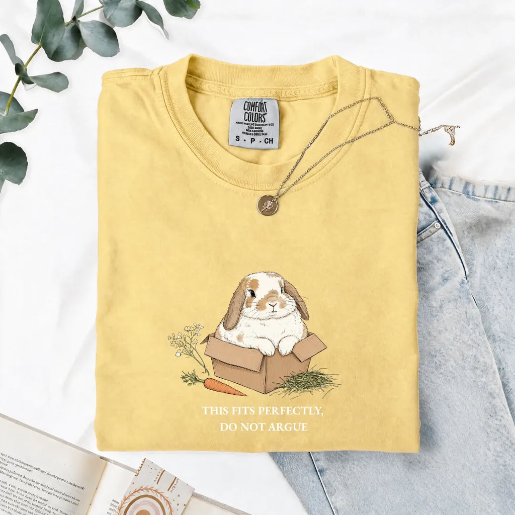 This Fits Perfectly, Do Not Argue - Comfort Tee
