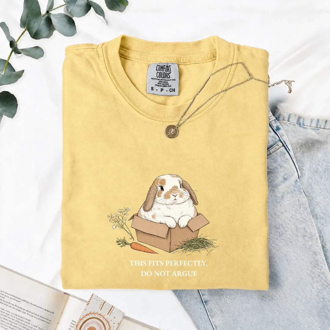 This Fits Perfectly, Do Not Argue - Comfort Tee