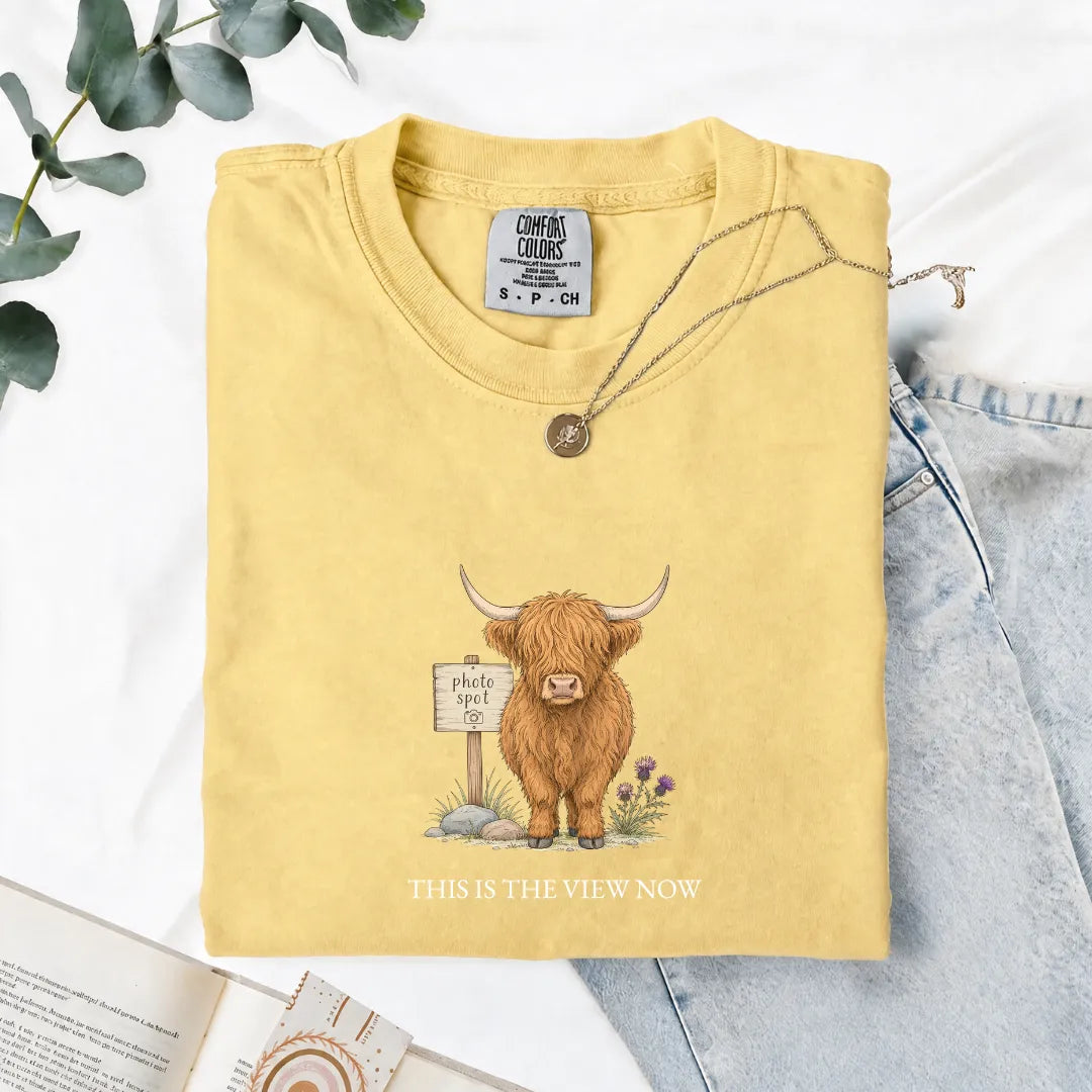 This Is The View Now - Comfort Tee