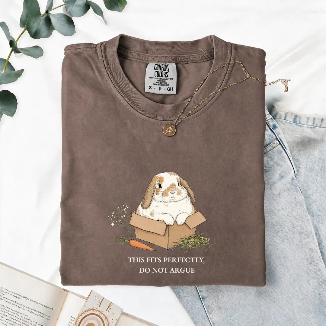 This Fits Perfectly, Do Not Argue - Comfort Tee