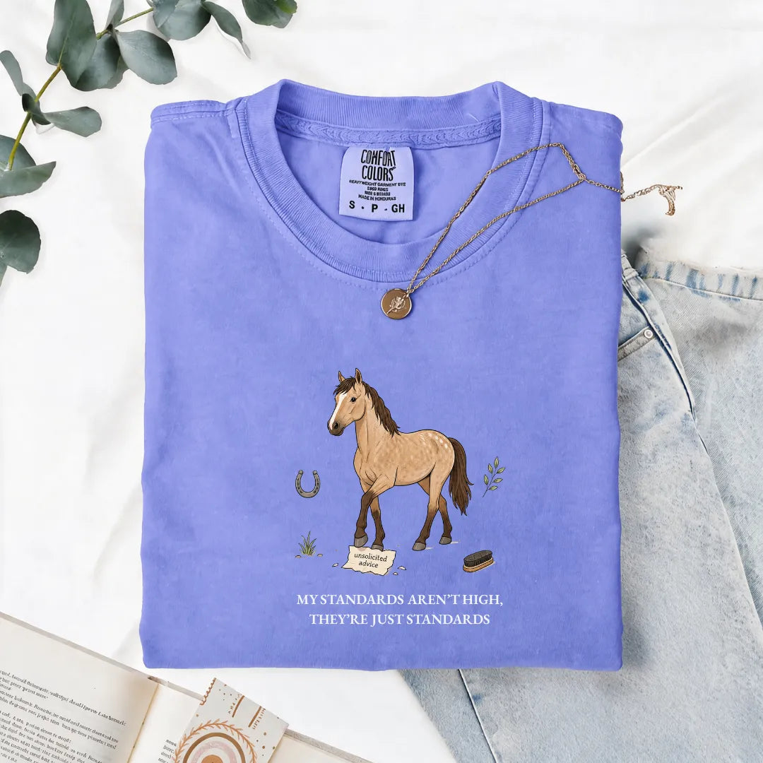 My Standards Aren't High, They're Just Standards - Comfort Tee
