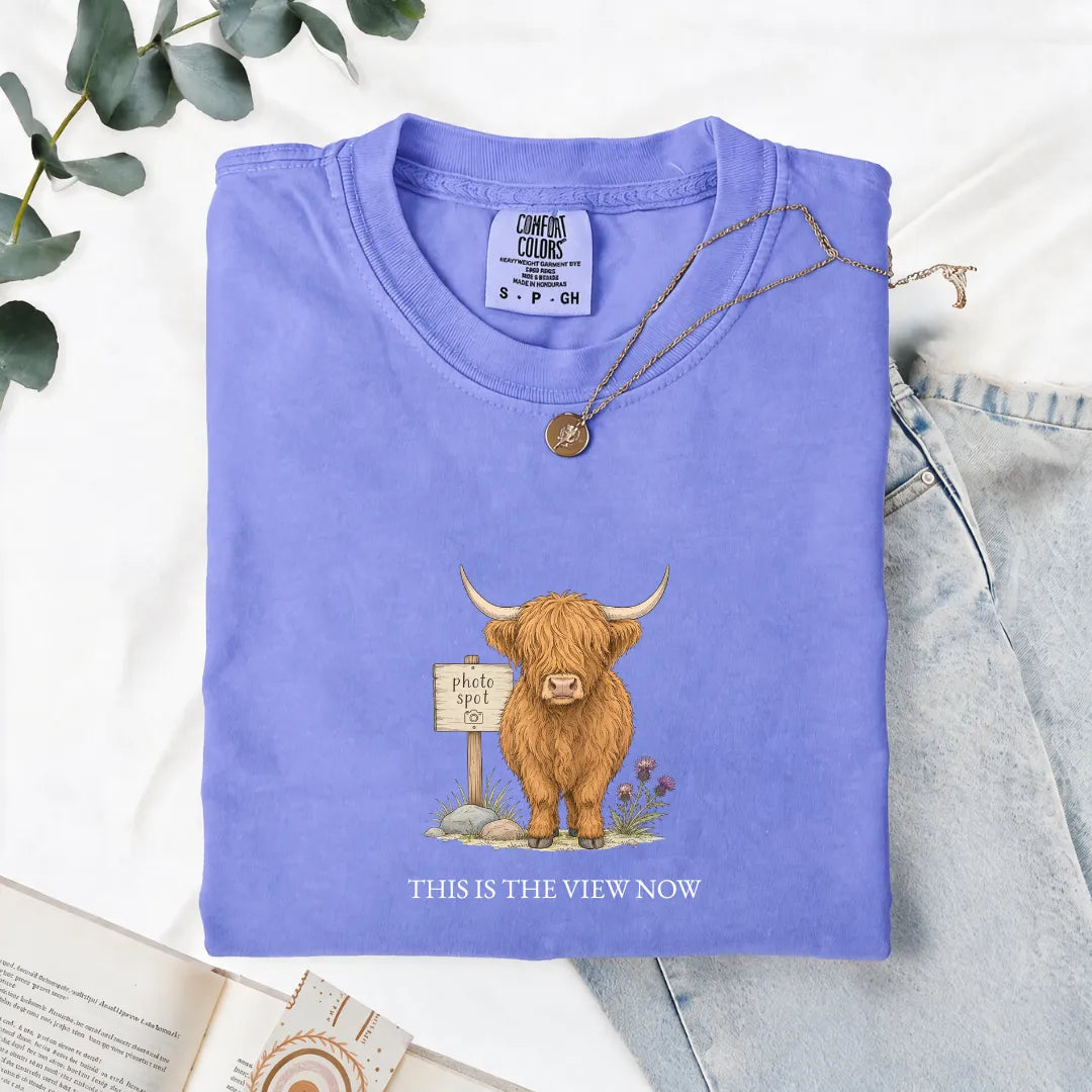 This Is The View Now - Comfort Tee