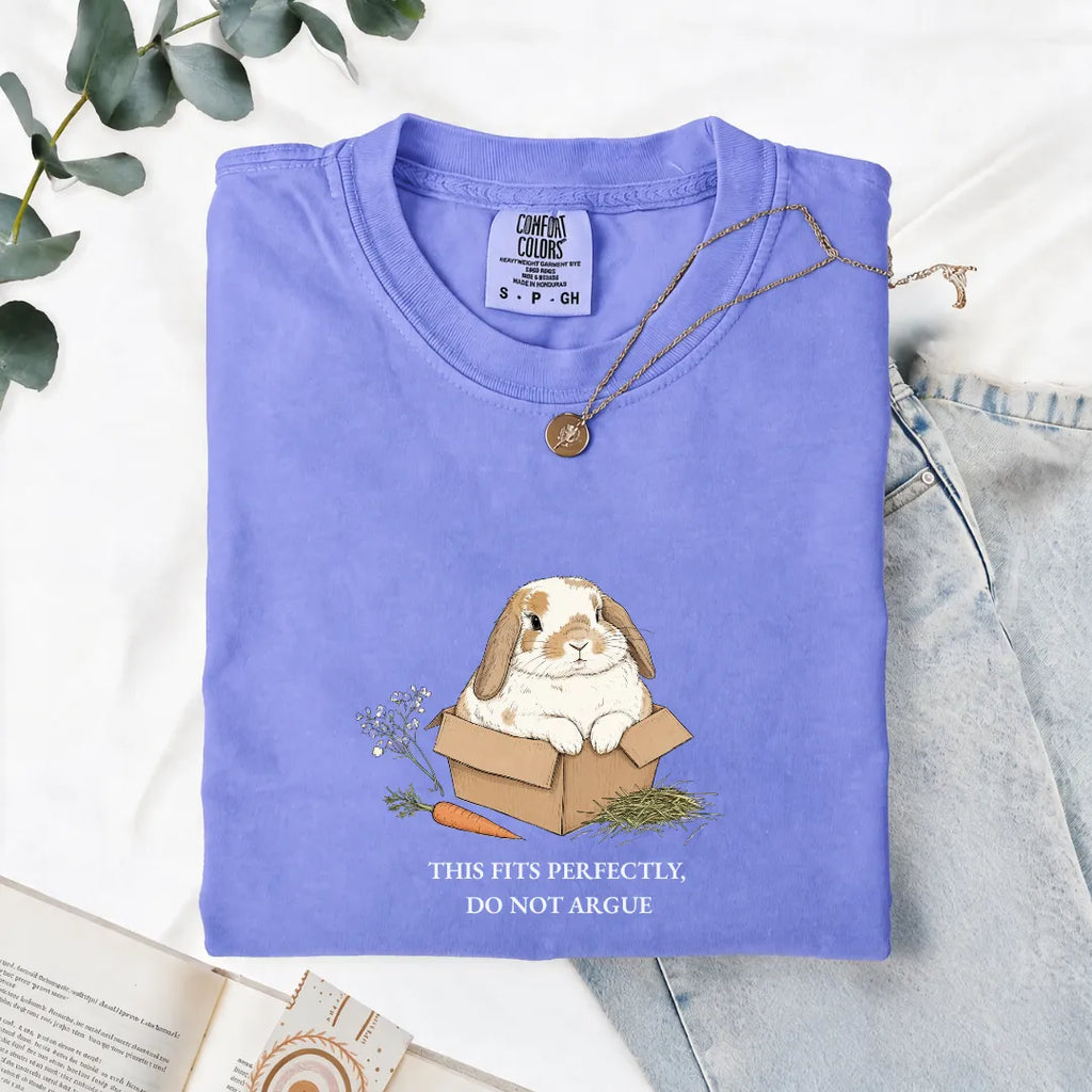 This Fits Perfectly, Do Not Argue - Comfort Tee