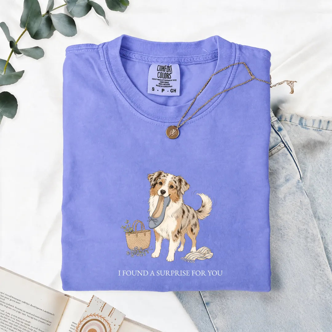 I Found A Surprise For You - Comfort Tee