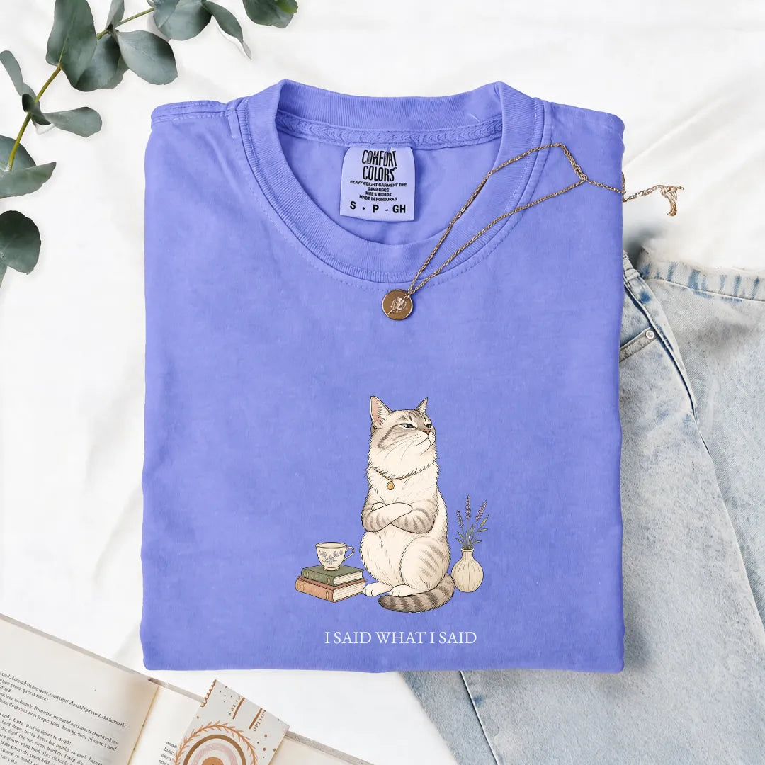 I Said What I Said - Comfort Tee