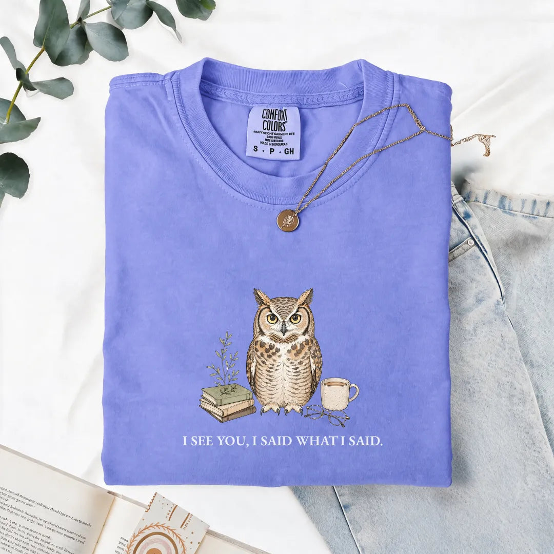 I See You, I Said What I Said - Comfort Tee