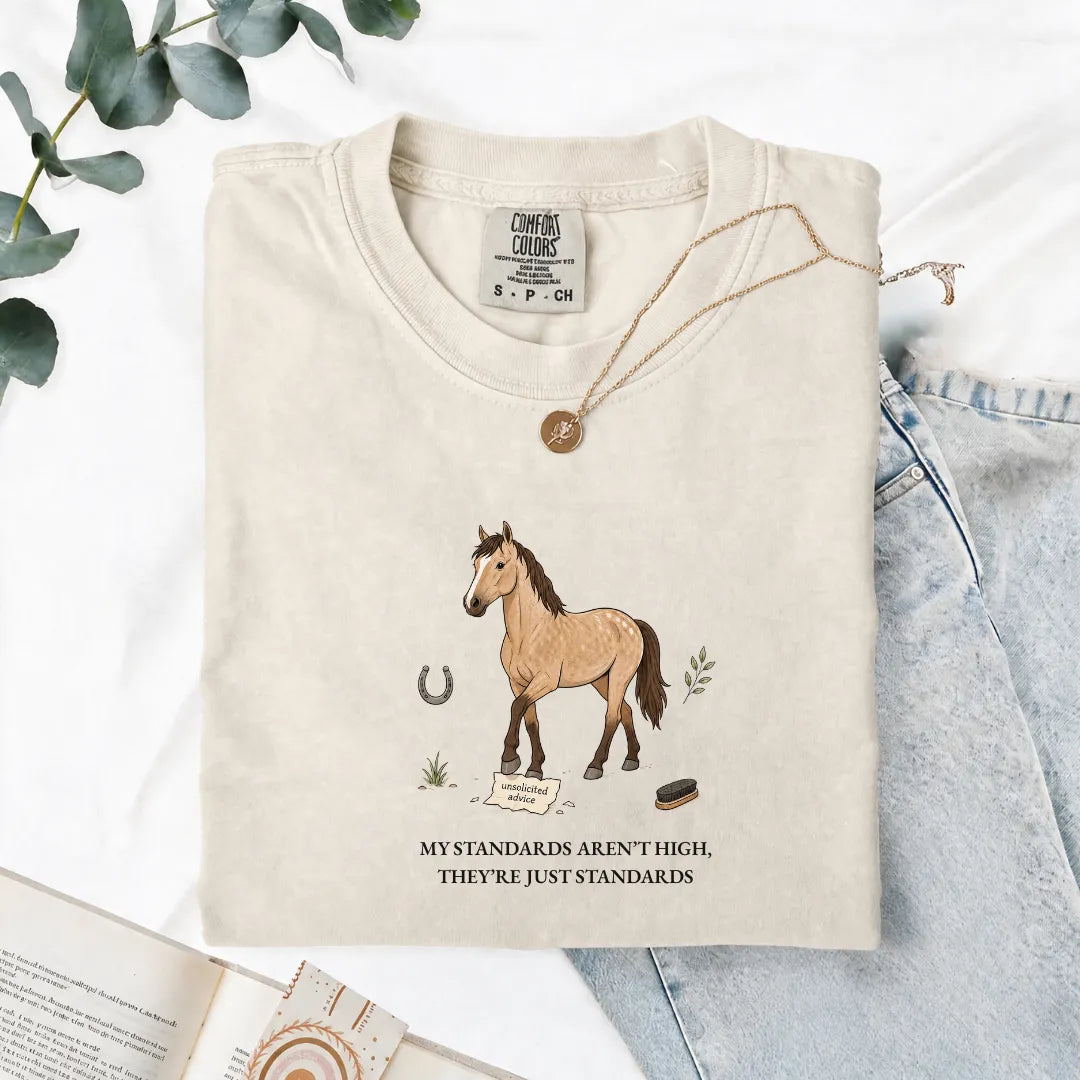 My Standards Aren't High, They're Just Standards - Comfort Tee