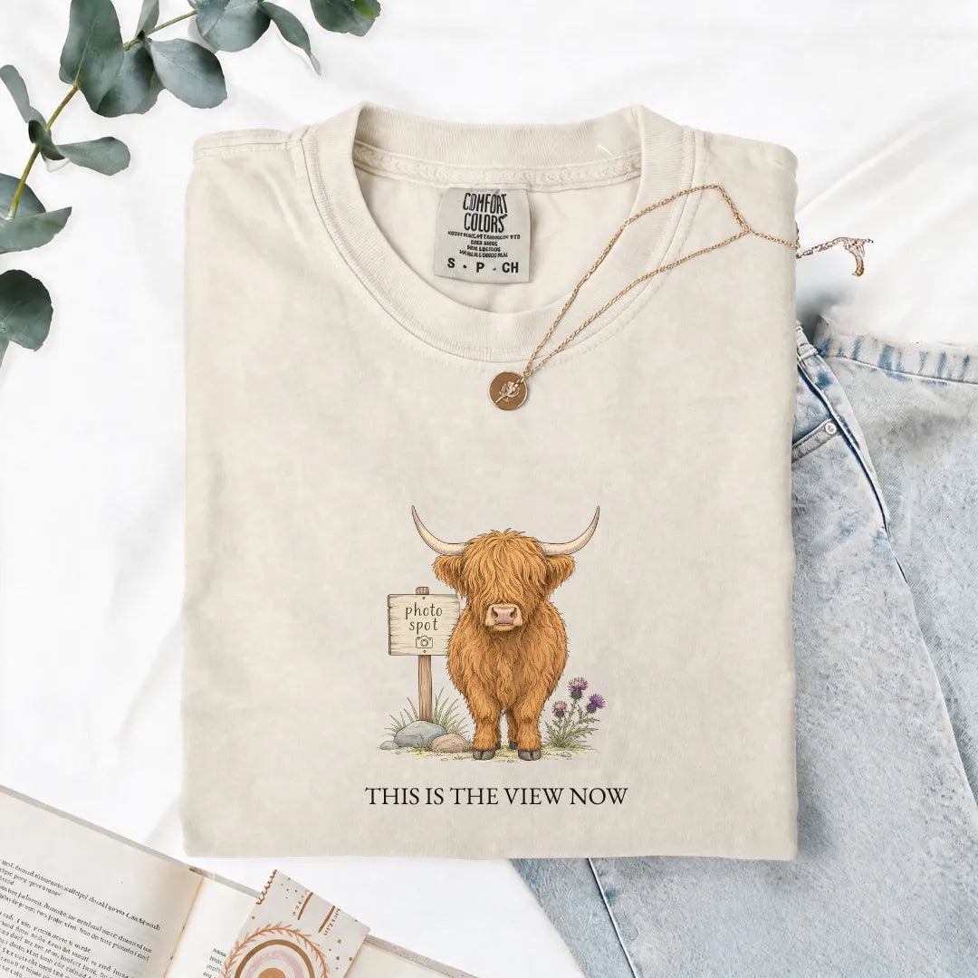 This Is The View Now - Comfort Tee