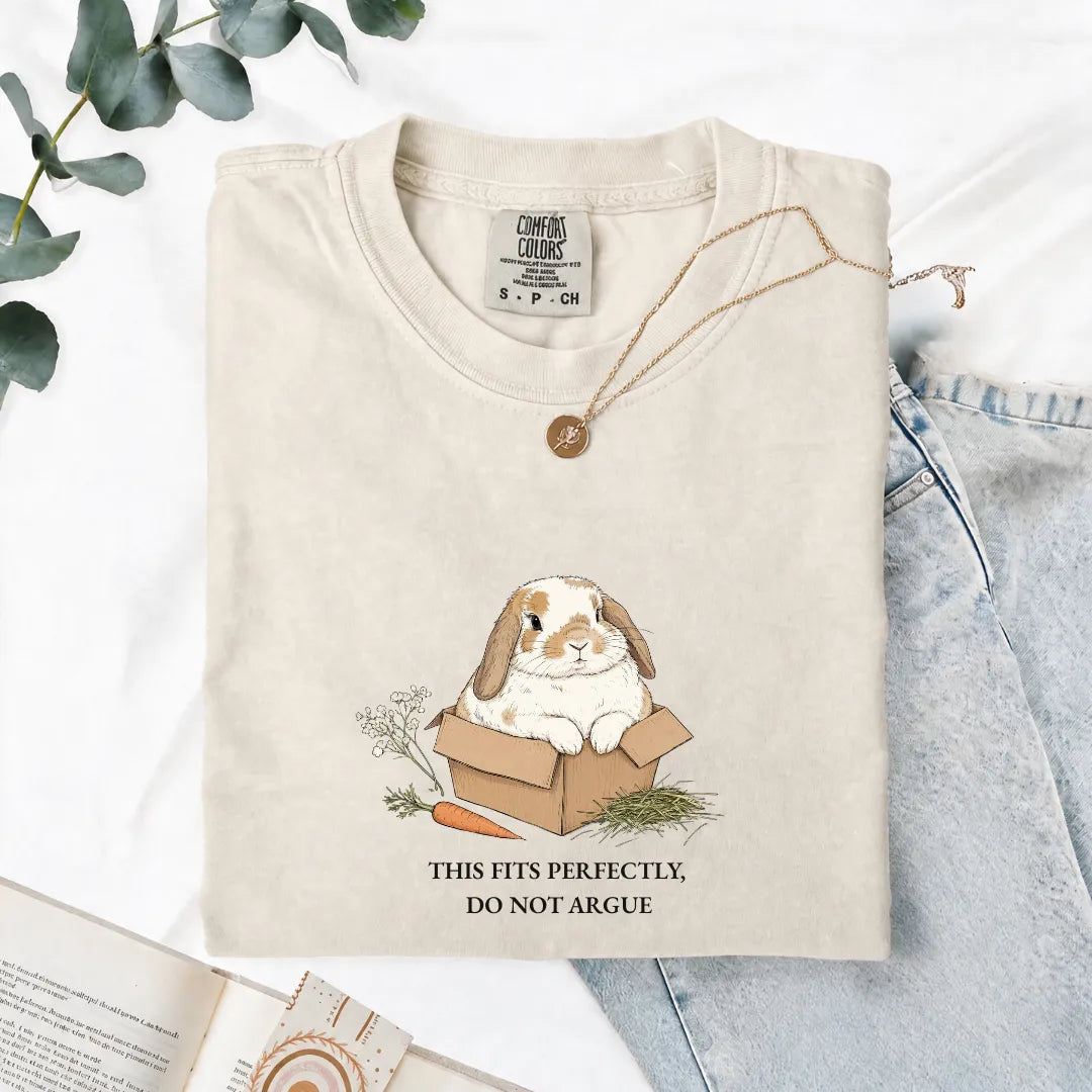This Fits Perfectly, Do Not Argue - Comfort Tee