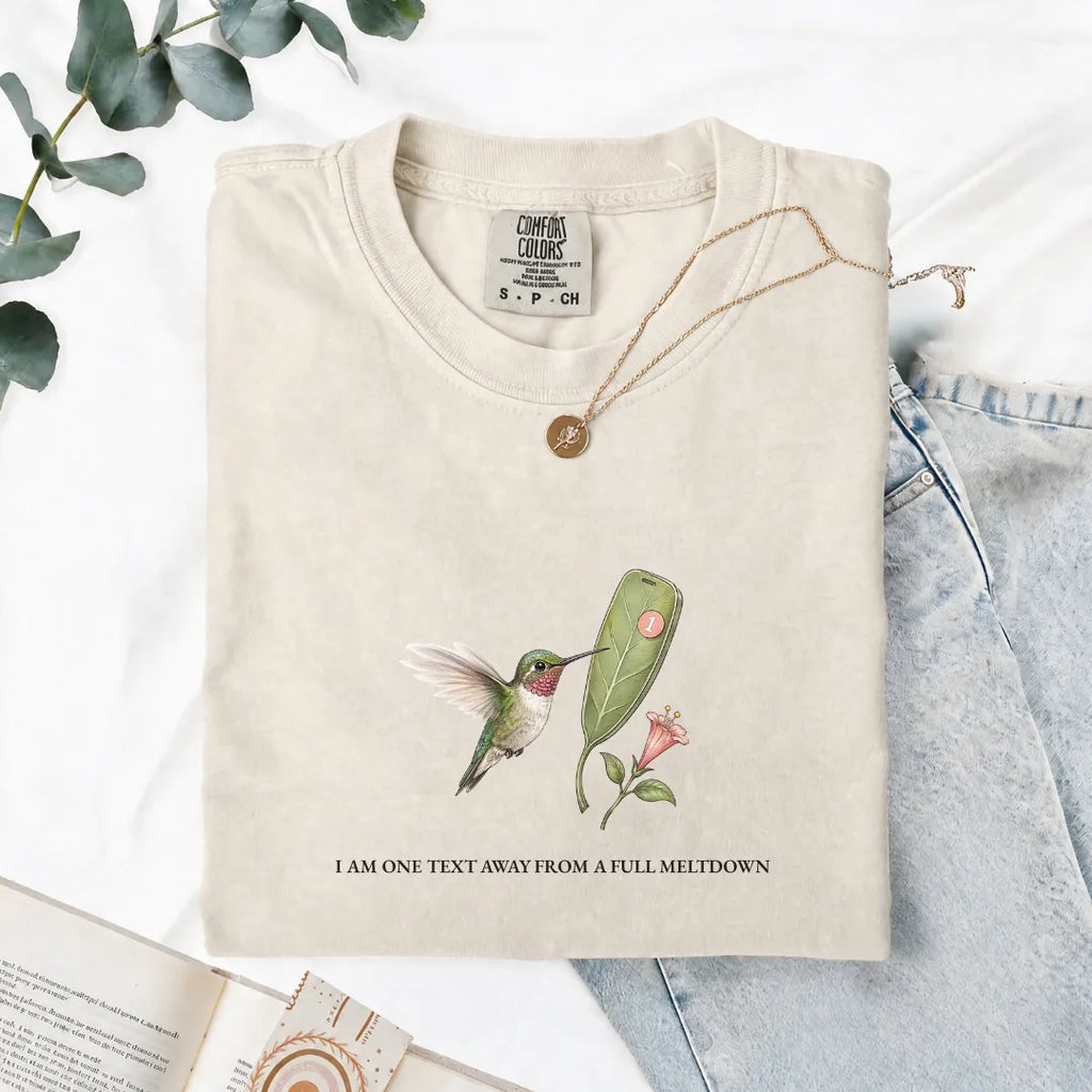 I Am One Text Away From A Full Meltdown - Comfort Tee