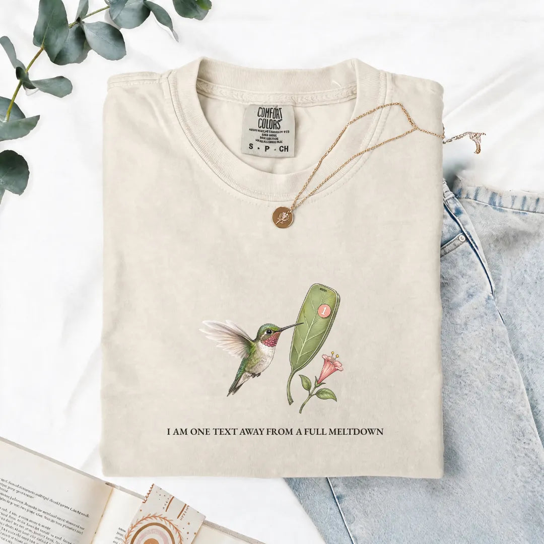 I Am One Text Away From A Full Meltdown - Comfort Tee