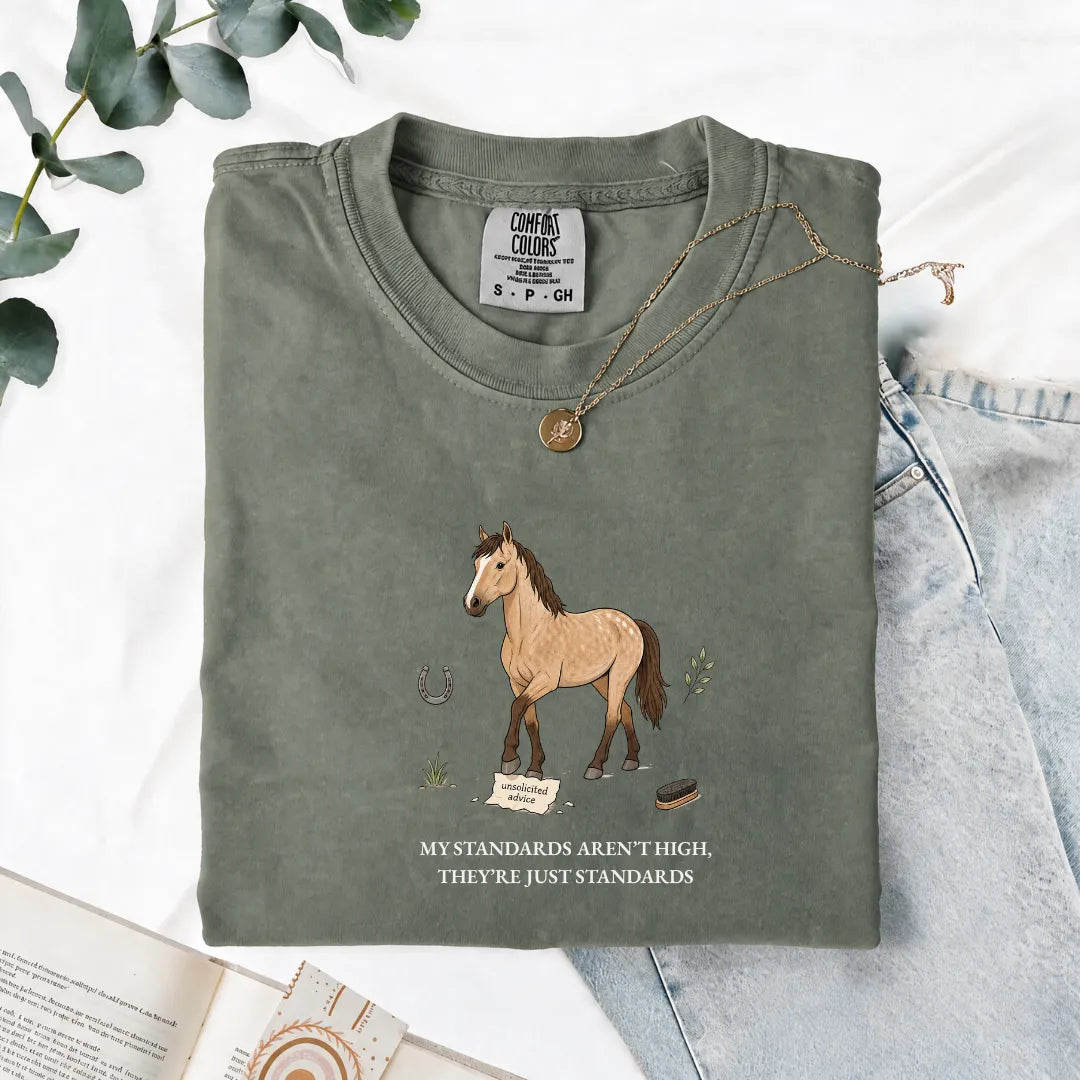 My Standards Aren't High, They're Just Standards - Comfort Tee