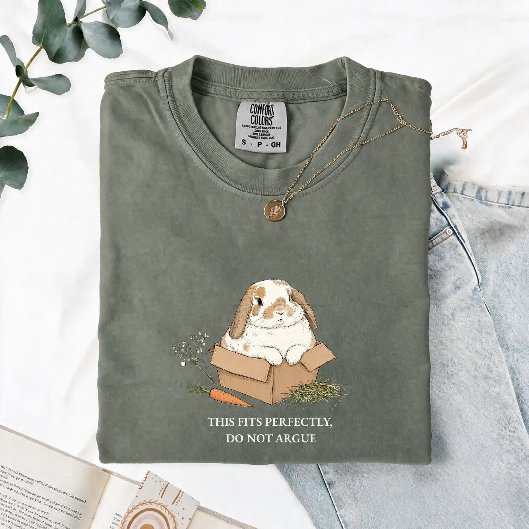 This Fits Perfectly, Do Not Argue - Comfort Tee