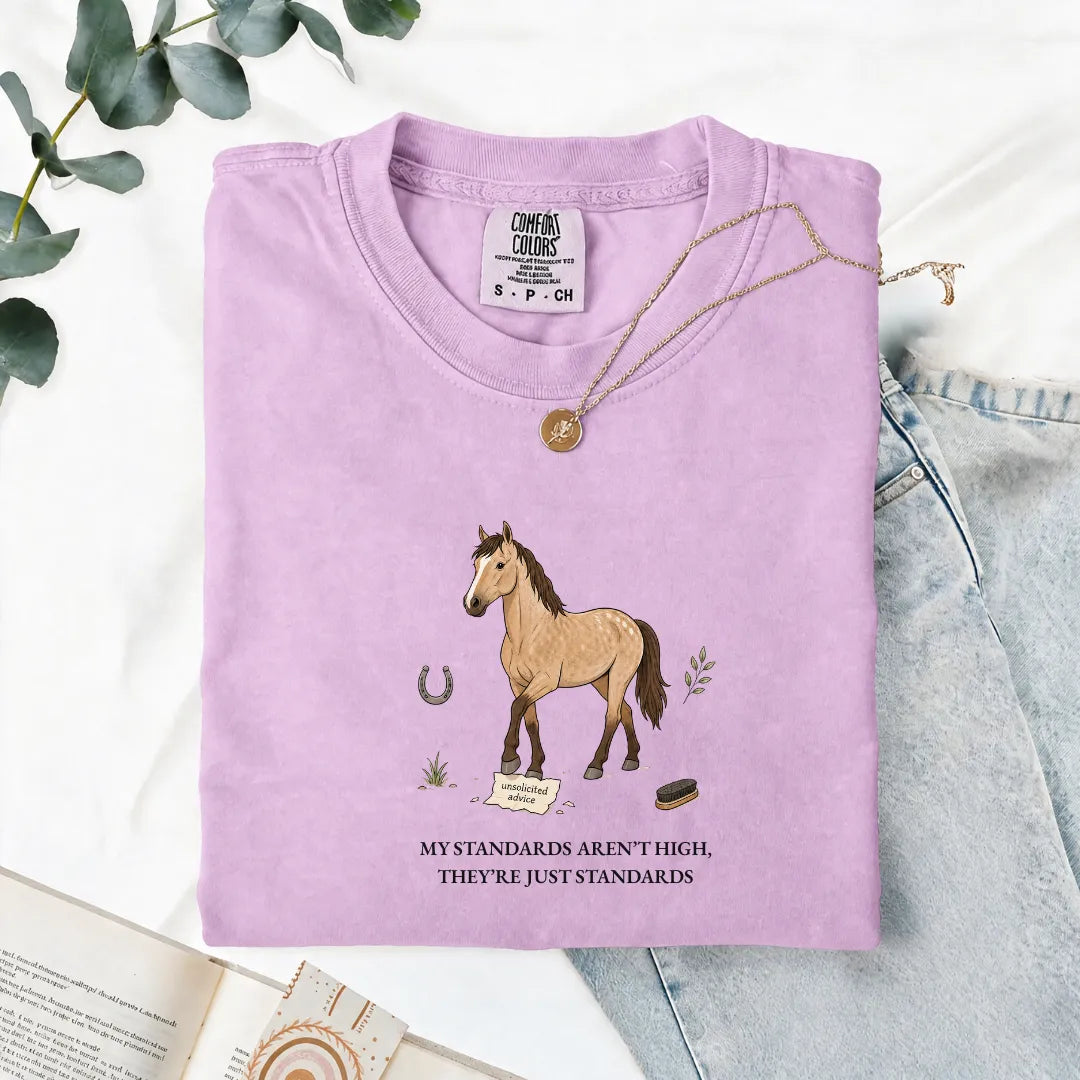My Standards Aren't High, They're Just Standards - Comfort Tee
