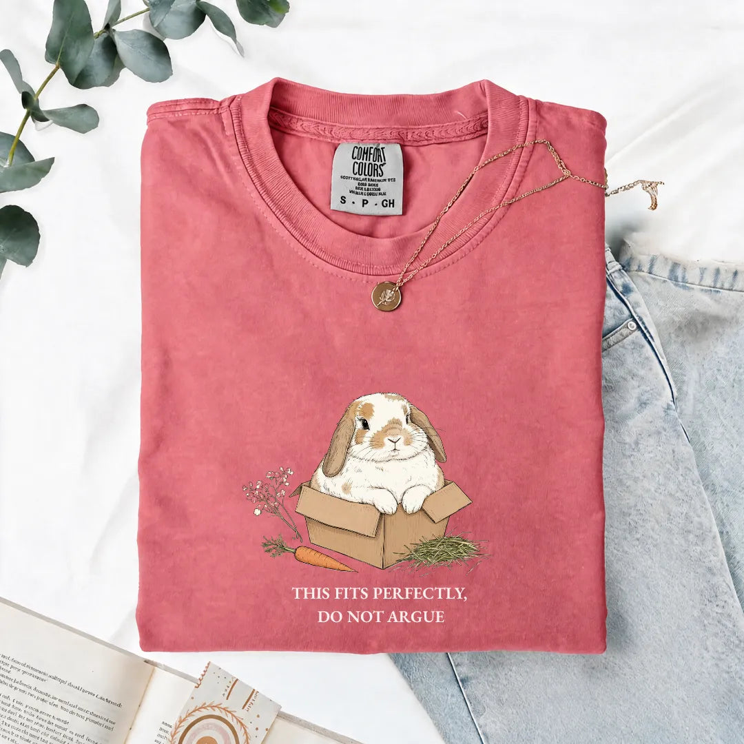 This Fits Perfectly, Do Not Argue - Comfort Tee