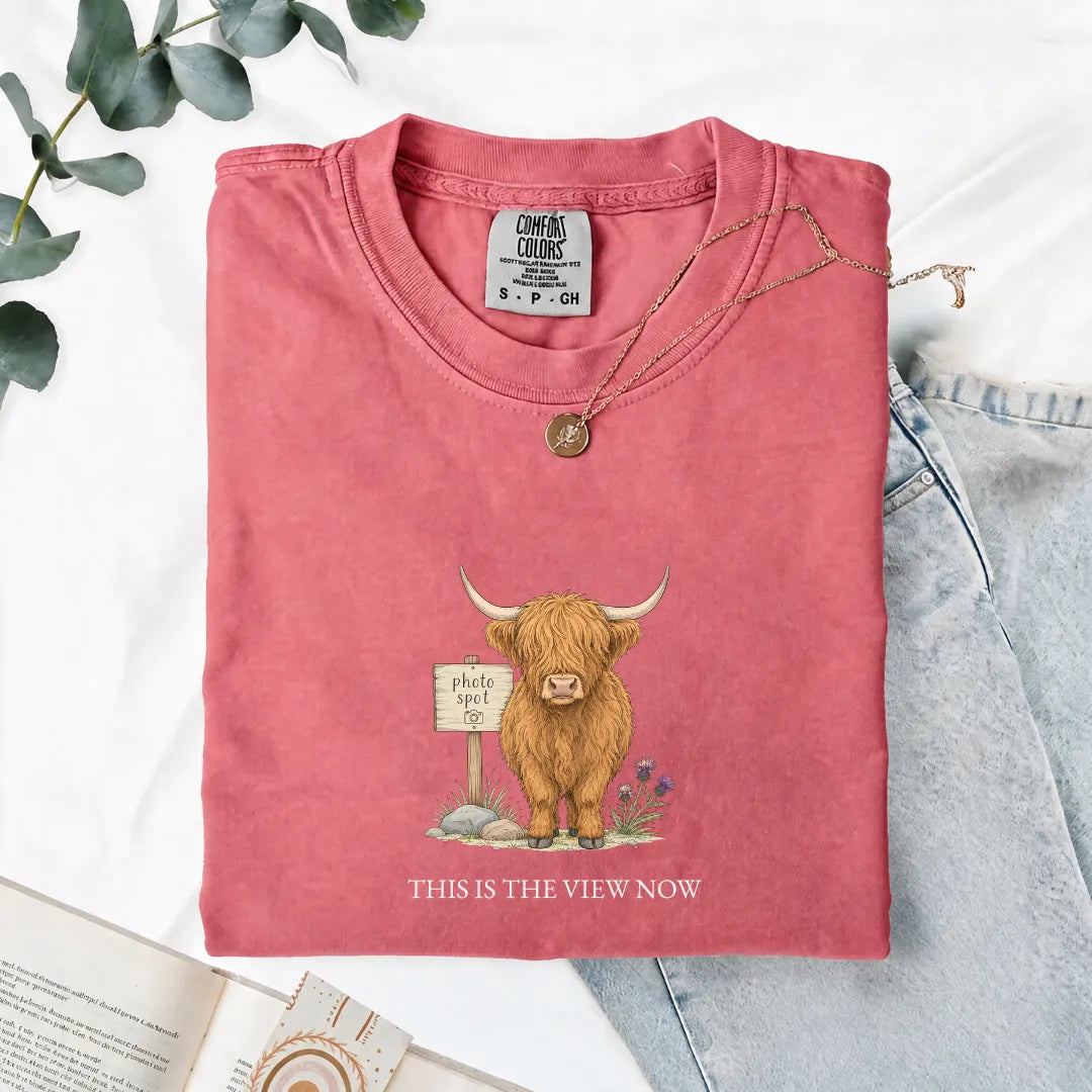 This Is The View Now - Comfort Tee
