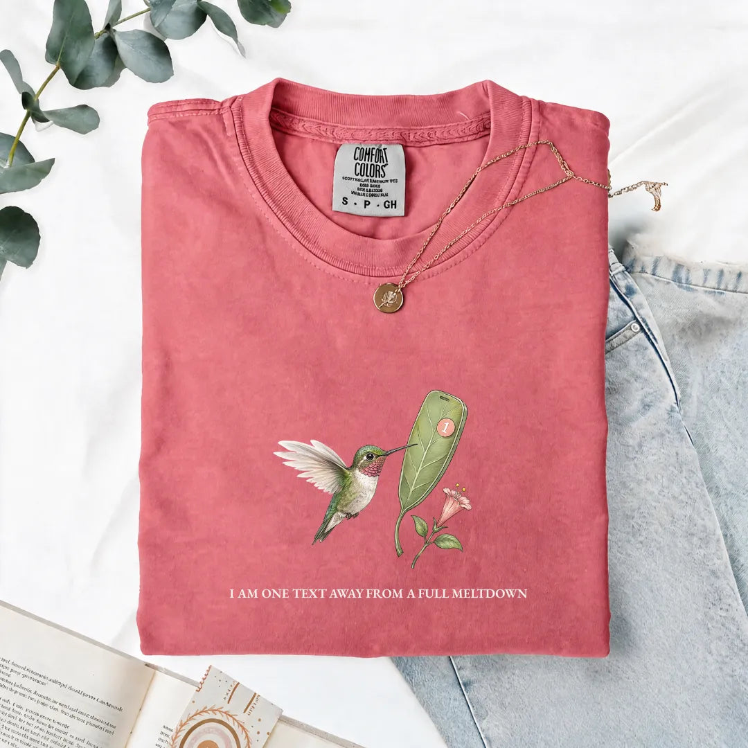 I Am One Text Away From A Full Meltdown - Comfort Tee