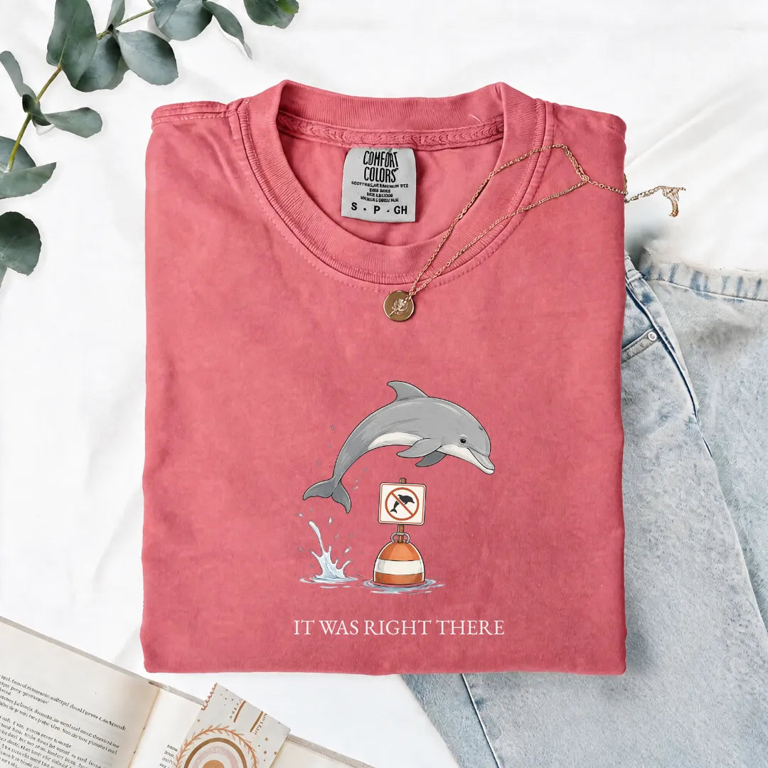 It Was Right There - Comfort Tee