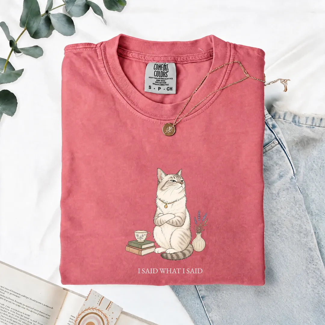 I Said What I Said - Comfort Tee
