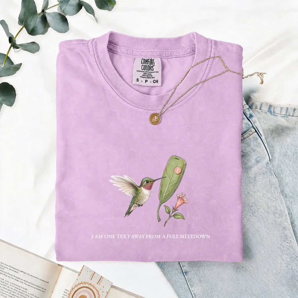 I Am One Text Away From A Full Meltdown - Comfort Tee