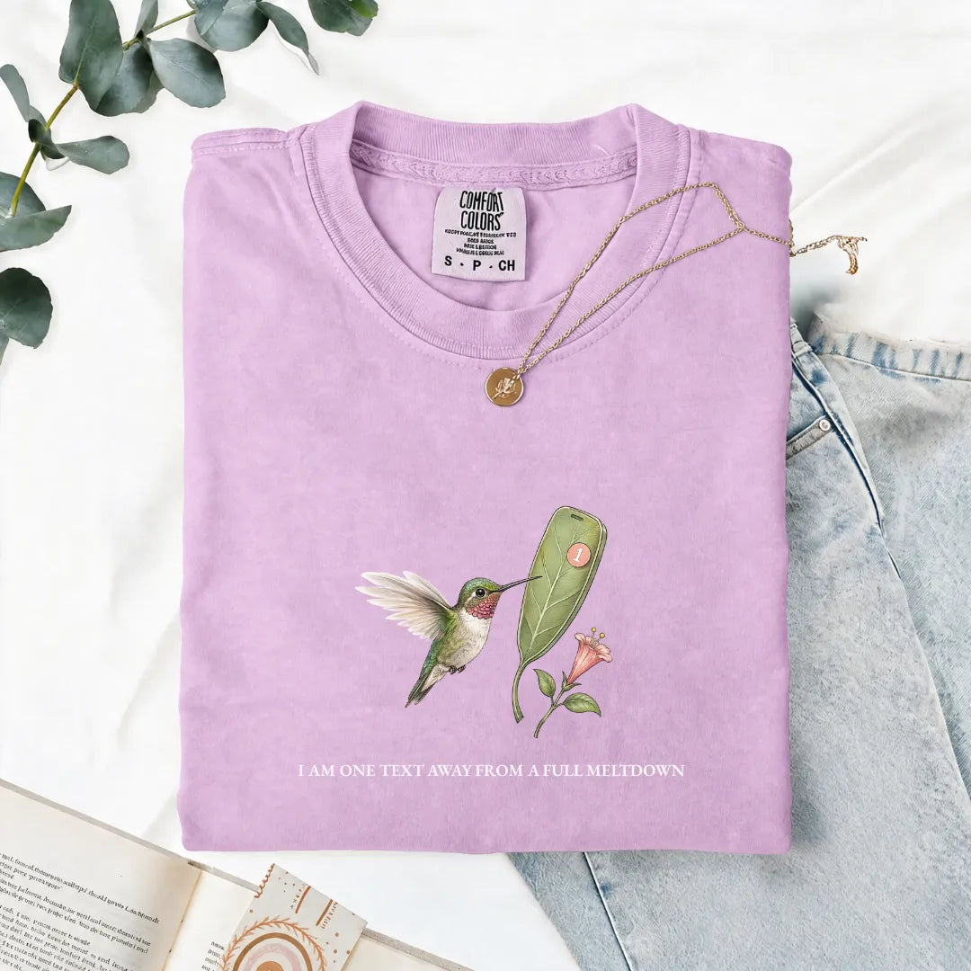 I Am One Text Away From A Full Meltdown - Comfort Tee