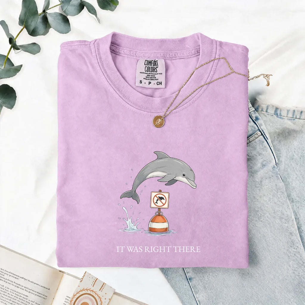It Was Right There - Comfort Tee