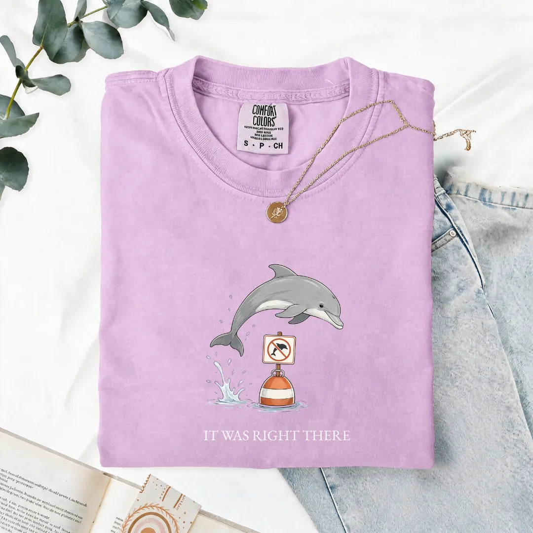 It Was Right There - Comfort Tee