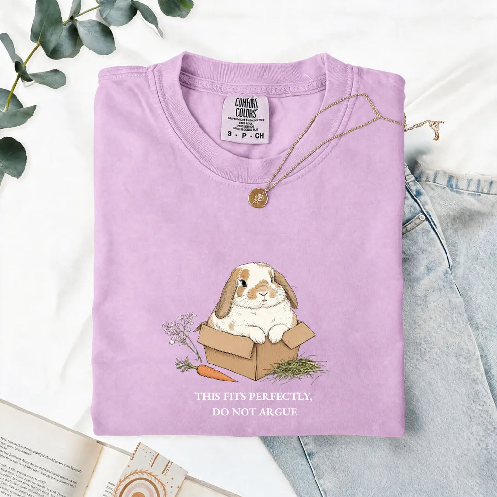 This Fits Perfectly, Do Not Argue - Comfort Tee