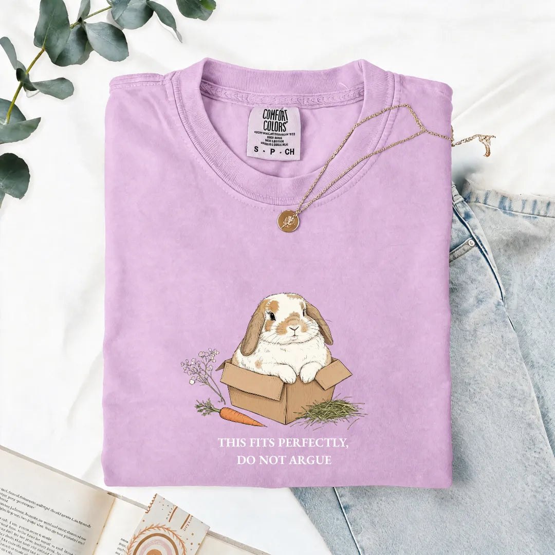 This Fits Perfectly, Do Not Argue - Comfort Tee