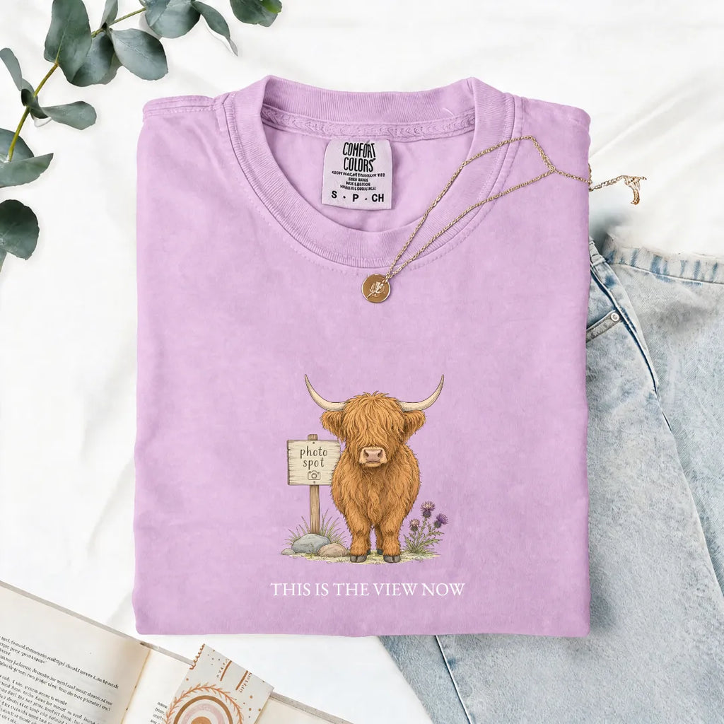 This Is The View Now - Comfort Tee