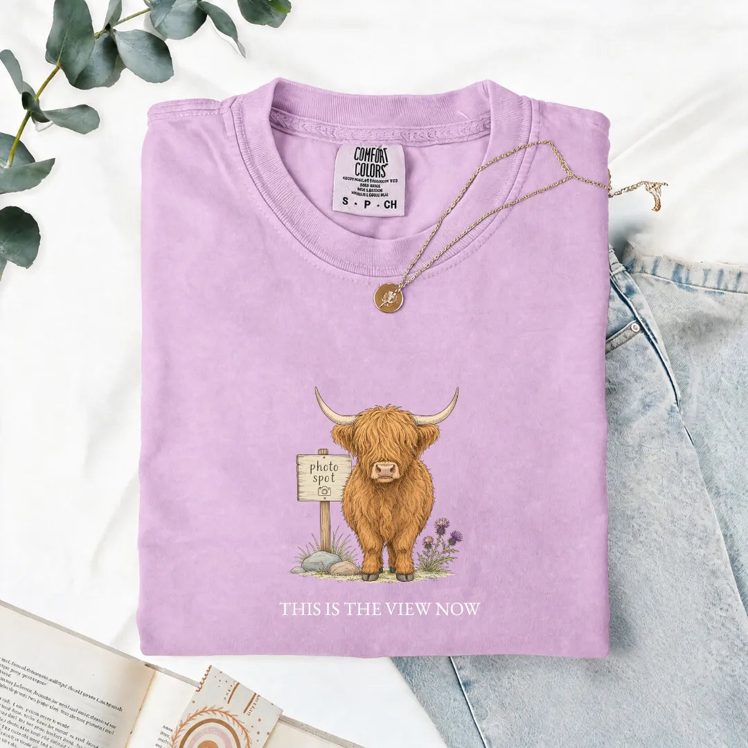 This Is The View Now - Comfort Tee